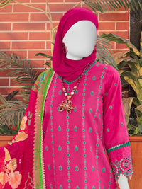 Pink Embroidered 3Pc Stitched Suit | PLS-24-7608