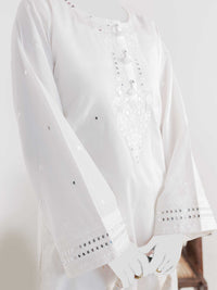 2Pc Stitched Imported Cotton Embroidered Suit | PJ-AZW-07