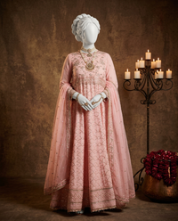 Light Pink Chiffon Embroidered 3Pc Unstitched Suit | PJ-LUX-U-24-0715