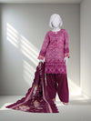 Embroidered Chikankari Khaddar 3Pc Unstitched Suit  | PJBCKU251162B