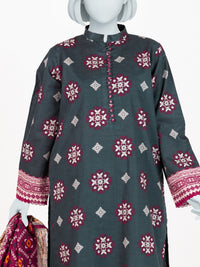 Printed Khaddar 3Pc Stitched Suit | PJBKS251141A