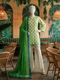 Lawn Printed 3Pc Unstitched Suit | PJBWU-2501138-A