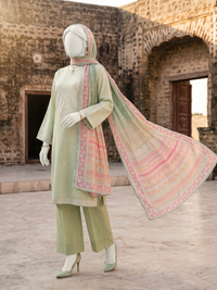 Lawn Embroidered 3 Piece Unstitched | PJBWUE-2601160