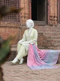 Lawn Embroidered 3 Piece Unstitched | PJBWUE-2601163