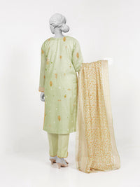 3Pc Stitched Lawn Embroidered Suit | PLSE251119