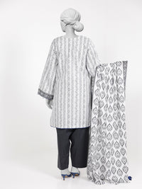 3Pc Stitched Lawn Embroidered Suit | PLSE251130