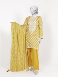 3Pc Stitched Lawn Embroidered Suit | PLSE251131