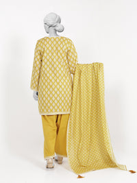 3Pc Stitched Lawn Embroidered Suit | PLSE251131