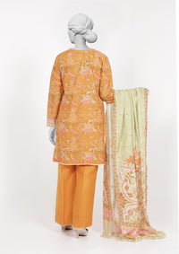 3Pc Stitched Lawn Embroidered Suit | PLSE251162