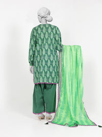 3Pc Stitched Lawn Embroidered Suit | PLSE251166