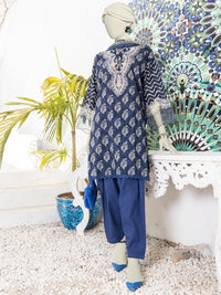 Multicolor Lawn Embroidered 3 Piece Unstitched Suit | PLU-24-1583