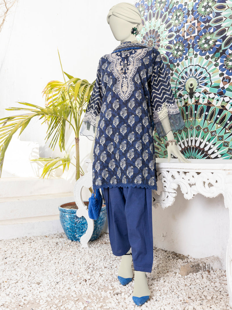 Multicolor Lawn Embroidered 3 Piece Stitched Suit | PLS-24-7574