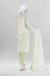 Lawn  Printed 3 Piece Unstitched | PLU-24-1351