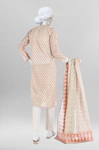 Lawn  Printed 3 Piece Unstitched | PLU-24-1353